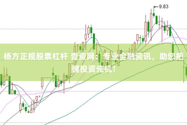 杨方正规股票杠杆 壹资网：专业金融资讯，助您把握投资先机！