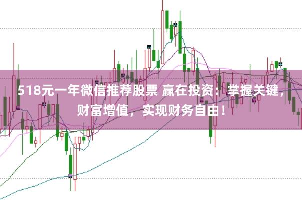 518元一年微信推荐股票 赢在投资：掌握关键，财富增值，实现财务自由！