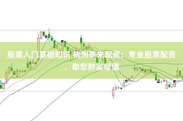 股票入门基础知识 杭州泰来配资：专业股票配资，助您财富增值