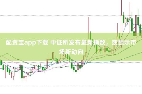 配资宝app下载 中证所发布最新指数，或预示市场新动向